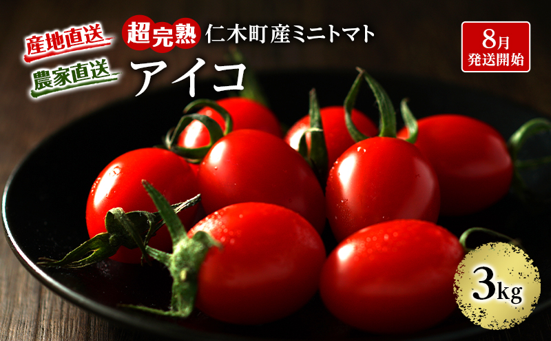 8月発送開始[2026年発送] 超完熟ミニトマト【 アイコ 】3kg 栽培期間中 農薬・除草剤不使用 サイズ混載 トマト ミニトマト 野菜 北海道 仁木町 [アイコファーム] 