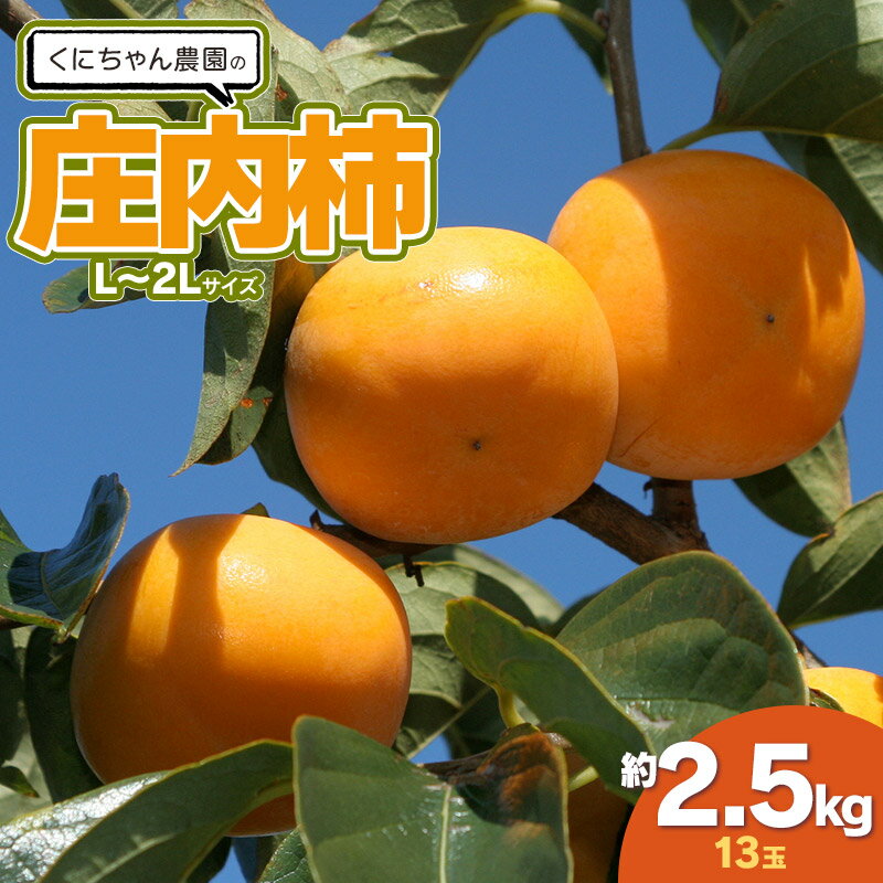 【ふるさと納税】【令和7年産】くにちゃん農園の庄内柿　約2.5kg（L～2Lサイズ 13玉）　K-722