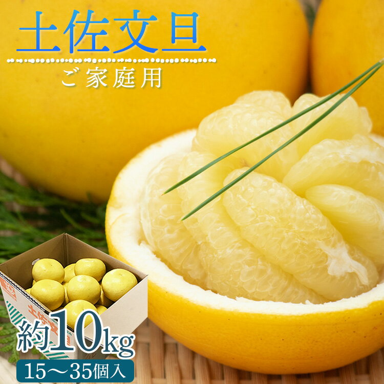 【ふるさと納税】【先行予約受付】訳あり 土佐文旦 家庭用 約10kg（M〜4Lサイズ 15〜35玉）2026年出荷 - 果物 フルーツ 柑橘 ぶんたん ブンタン 期間限定 訳アリ キズ 特産品 送料無料 産地直送 JA 高知県農業協同組合 香南市【常温】『2026年1月下旬より順次配送』