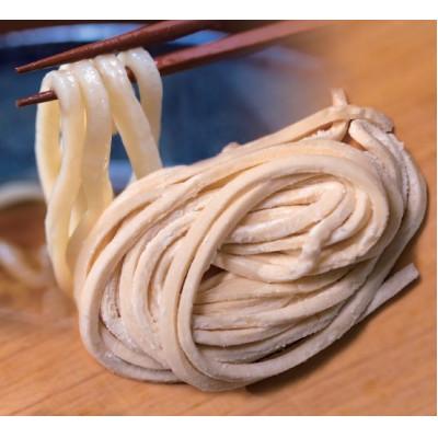 ふるさと納税 与謝野町 へじや製麺のうどん生麺10食セット 細麺タイプ　ぶっかけ(温)用特製だしつゆ付