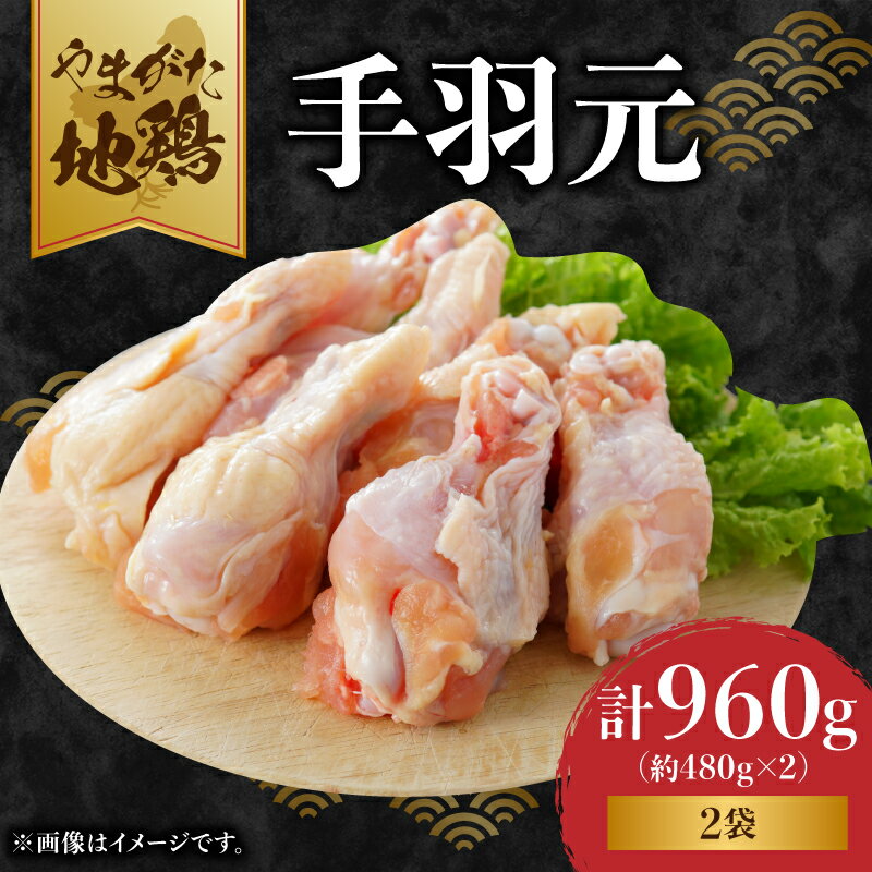 【ふるさと納税】 やまがた地鶏 手羽元 レビューキャンペーン