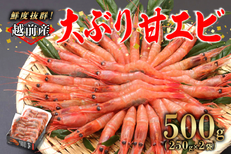 【選べる容量！】【小分け】越前産冷凍甘えび 約250g × 2パック 合計約500g