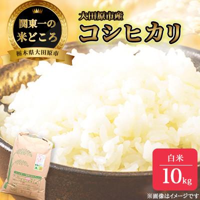 ふるさと納税 大田原市 【令和7年産新米 数量限定】古谷農産 栽培期間中農薬・化学肥料不使用 コシヒカリ 精米 10kg
