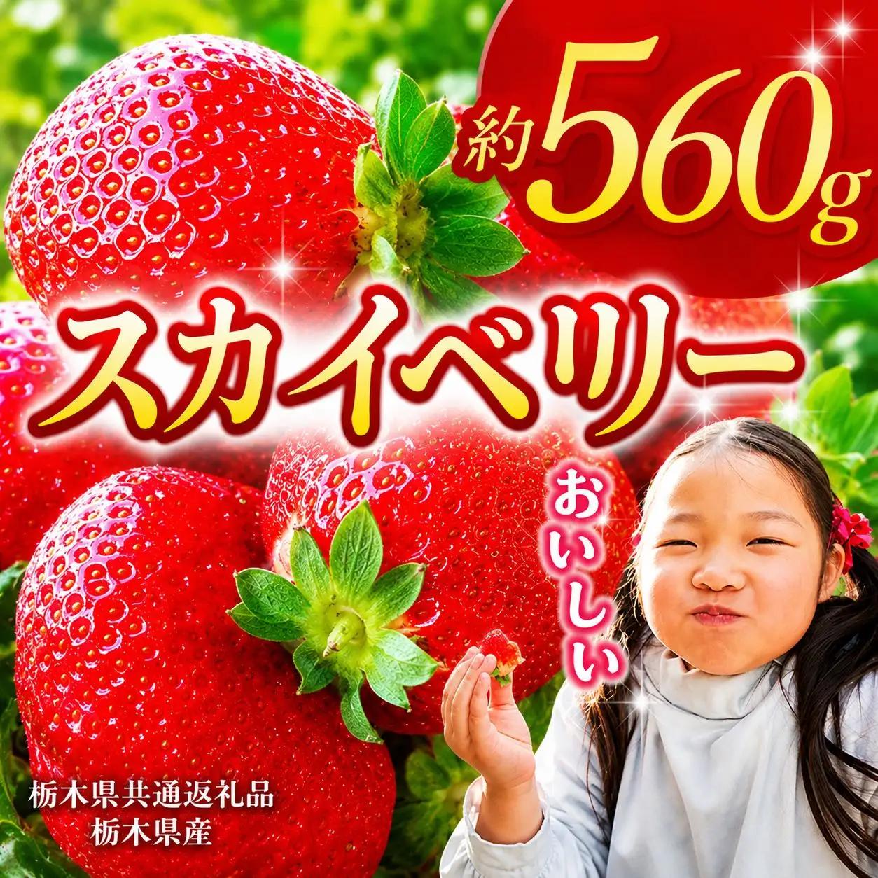【栃木県共通返礼品】【2027年先行予約】スカイベリー 280g×2P| 年始発送 果物 くだもの フルーツ 野菜 やさい ヤサイ 苺 イチゴ いちご スカイベリー 新鮮 甘い 数量 限定 美味しい 果物 共通返礼品 フルーツ デザート 栃木県 那珂川町 送料無料