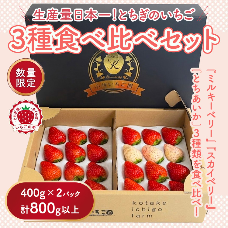 満足3種食べ比べセット（ミルキーベリー、スカイベリー、とちあいか）400g×2パック 800g｜いちご イチゴ 苺 先行予約 栃木県 果物 くだもの フルーツ とちあいか スカイベリー ミルキーベリー 新鮮  贈答 ギフト 高級 食べ比べ ※2027年1月～発送