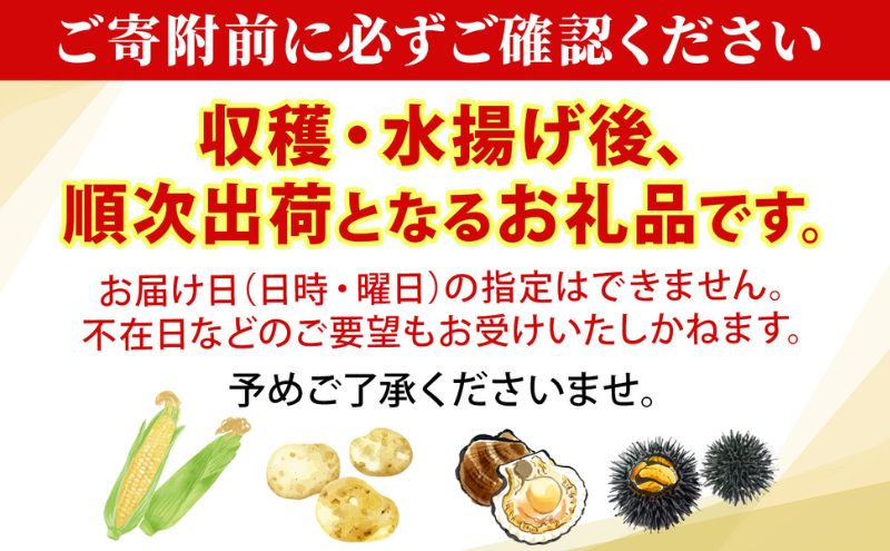 北海道産 とうもろこし 糖度20度以上 恵味 めぐみ 2L 20～22本 2026年7月下旬～8月下旬頃お届け 先行受付 朝採り トウモロコシ スイート コーン 甘い 旬 夏 野菜 新鮮 産地直送 宮内農園 洞爺湖町
