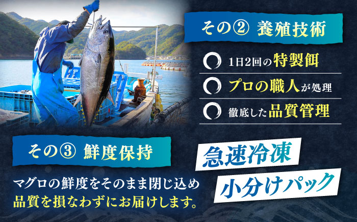 【全12回定期便】対馬産 本マグロ 3種 計450g（赤身/中トロ/ネギトロ）《対馬市》【対海】[WAH014] マグロ まぐろ 鮪 本鮪 本マグロ 養殖 トロ 中トロ 中とろ 赤身 ねぎとろ ネギト