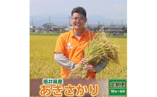 【数量限定！】 令和7年産 定期便 ≪6ヶ月連続お届け≫ あきさかり 10kg × 6回 ～坂井市三国町産・こだわりの精米対応～《5分づき》お米 米 ご飯 福井県産 生活応援 [K-0201_03]