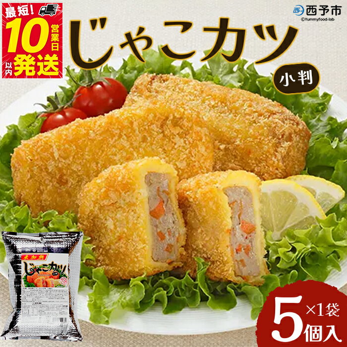 【ふるさと納税】＜じゃこカツ小判（未加熱）5個入り×1袋＞ お惣菜 小魚 さかな 魚介 すり身 じゃこ天 フライ 揚げ物 加工品 特産品 おつまみ おかず お弁当 バーガー カレー 国産 おがた蒲鉾 愛媛県 西予市 【冷凍】『最短10営業日以内に順次発送予定』