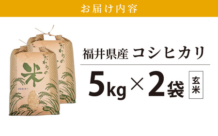 【新米】 令和7年産 コシヒカリ 10kg 福井県産【玄米】【お米 こしひかり 10キロ 人気品種】 [e30-b014]