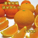 【ふるさと納税】有田育ちの濃厚柑橘詰め合わせセット(ご家庭用) 【選べる容量】約1.5kg 約2.5kg ※2025年1月中旬～4月下旬順次発送予定 / 和歌山 ミカン オレンジ 柑橘 フルーツ 果物 くだもの ブランド 旬※北海道・沖縄・離島配送不可