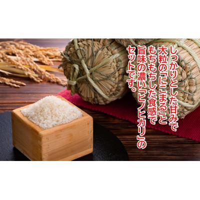 ふるさと納税 本山町 ★令和7年産★　本山町の棚田で育てられた「土佐天空の郷」5kg食べ比べセット |  | 01