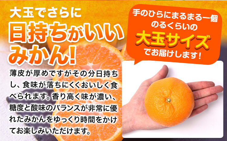 ご家庭用 熊本 大粒みかん 約2.5kg (3L～5Lサイズ)大玉 みかん 先行予約 熊本 ちょっと 訳あり 傷 たっぷり 熊本県産 熊本県 期間限定 フルーツ 旬 柑橘 長洲町 大粒みかん《2025