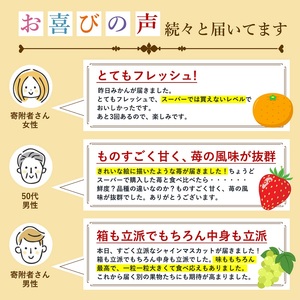 【2026年受付】 観音寺市からの特産フルーツ 定期便 年間4回