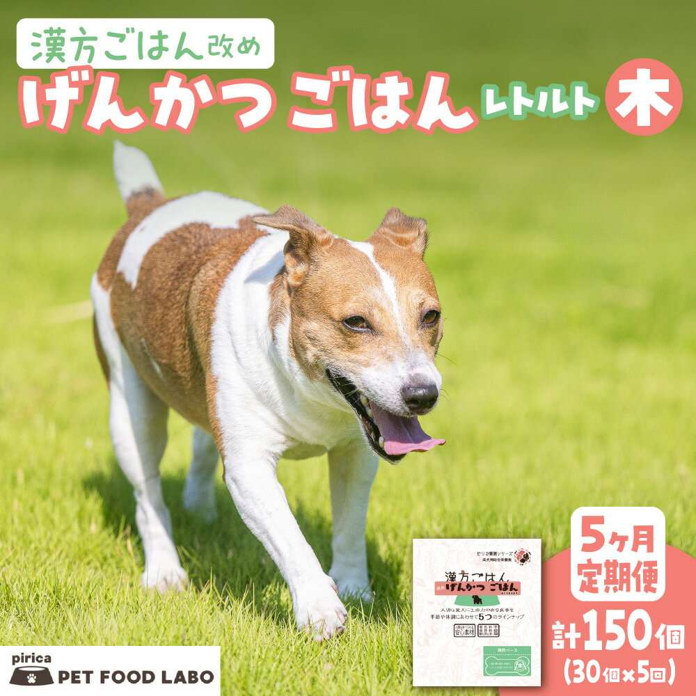 【ふるさと納税】 定期便 ペットフード 犬 げんかつごはん 漢方ごはん 木 レトルト 30個×5回 ウェットタイプ ドッグフード 愛犬用 鶏肉 食養生 薬膳 総合栄養食 安心素材 北海道食材 漢方食材 着色料 保存料 酸化防止剤不使用 北海道 札幌市