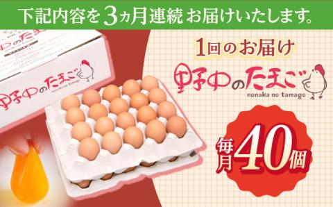 【3回定期便】産みたて新鮮卵 野中のたまご  40個×3回 計120個【野中鶏卵】 [OAC004]