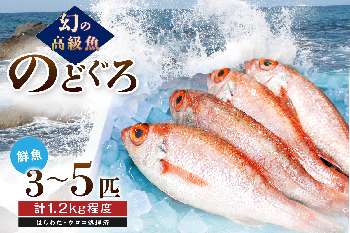 幻の高級魚「のどぐろ（鮮魚）」魚介 のどぐろ 鮮魚 高級魚 ふるさと納税 のどくろ 魚 のどぐろ 旬 期間限定 鮮魚 のどぐろ 【006_2041】