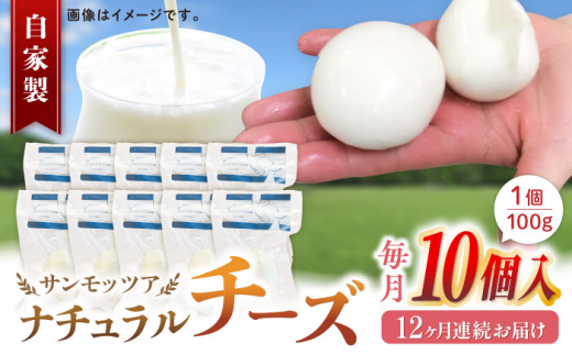 
【全12回定期便】自家製 ナチュラルチーズ サンモッツア 10個 ( 100g × 10個 ) / チーズ モッツァレラチーズ 乳製品 熊本 山都町【山の未来舎】[YBV025] 303000 303,000 303000円 303,000円
