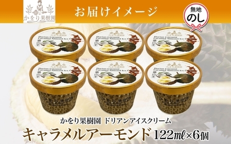 無地熨斗 ドリアン ココナッツ キャラメルアーモンド アイスクリーム 122ml 6個 濃厚 ココナッツミルク スイーツ お菓子 ソフトクリーム おやつ デザート ご当地アイスセット 詰め合わせ お取