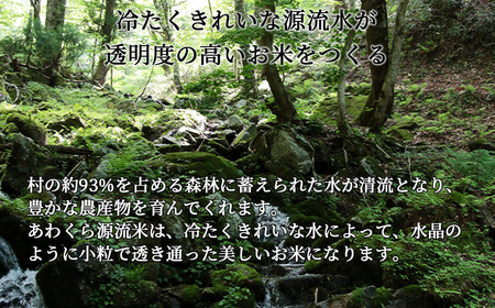 【6回定期便】白米 10kg 令和5年産 コシヒカリ 岡山 あわくら米米倶楽部 K-ag-CCZA