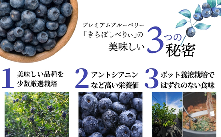 冷凍ブルーベリー 1kg（500g×2袋） きらぼしファーム ブルーベリー ベリー