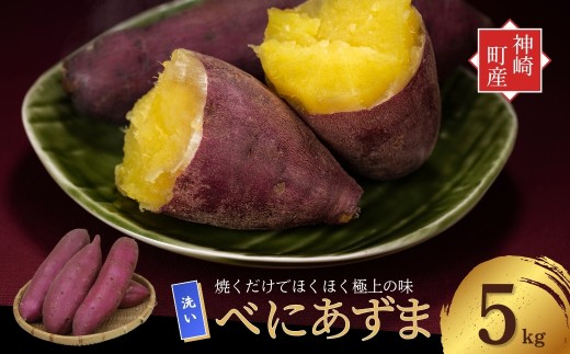 ＼焼き芋も天ぷらもおまかせ！／ 神崎町産 べにあずま 洗い さつまいも 5kg｜ホクホク甘い万能タイプ・無選別でご家庭向けにたっぷりサイズ♪（9月・10月・1月中旬〜２月中旬に順次発送） 紅あずま 紅東 べにあづま さつまいも サツマイモ さつま芋 薩摩芋 焼き芋 やきいも ふかし芋 天ぷら 大学芋 スイートポテト 芋ご飯 おやつ ホクホク ほくほく 甘い[016-a004-2026]