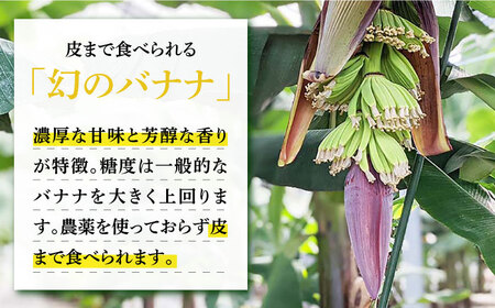 【12回定期便】【皮ごと食べられる！】なかなかバナナ 5本 / バナナ フルーツ 果物 定期便 フルーツ定期便 / 南島原市 / ミナサポ[SCW049]
