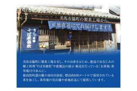 水出し煎茶 100g(10g×10個)  5袋 お茶処茶里庵 さりあん《90日以内に出荷予定(土日祝除く)》徳島県 美馬市 お茶 茶 緑茶 日本茶 煎茶 深蒸し煎茶 深蒸し 水出し ティーバッグ ティ