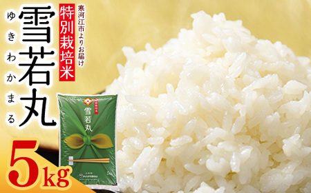 【特別栽培米】 新米 山形県産 雪若丸 5kg 令和7年産【2025年11月より順次配送】 ／ 2025年産 白米 精米 お米 米 小分け ブランド米 ごはん 東北 国産 5キロ 山形県寒河江市　0175-C-JA041