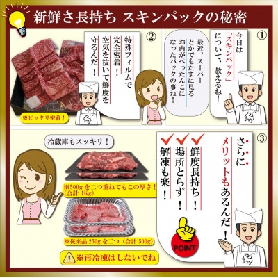神戸牛(神戸ビーフ)しゃぶしゃぶ・すき焼き用 500g SOS2 【2026年4月より順次発送】【配送不可地域：離島】【1686975】