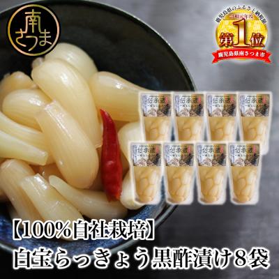 ふるさと納税 南さつま市 【鹿児島県産】〈プレミアム〉伝承蔵〜白宝らっきょう黒酢漬け〜(90g×8P)