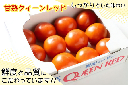 水耕栽培トマト(大玉)【0041】