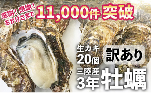 【3月前半お届け】三陸産 『 殻付き牡蠣 (生食用)』20個 【訳あり/規格外品】※感謝！ 11,000件突破！【 訳あり 天然 牡蠣 かき 殻付き 生食 焼き牡蠣 蒸し牡蠣 人気 国産 陸前高田 三陸産 広田湾産 小友 マルテン水産 】
