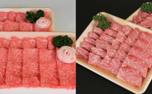 特選 くまもと黒毛和牛 ロース 計750g （焼き肉用350g・すき焼き用400g） 食べ比べセット 熊本県産 球磨牛 焼肉 すき焼き くまもと黒毛和牛  冷凍