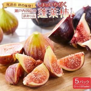 9月まで受付【訳あり】尾道特産 因島のいちじく 蓬莱柿（ほうらいし）約1.6kg （約320g×5パック）