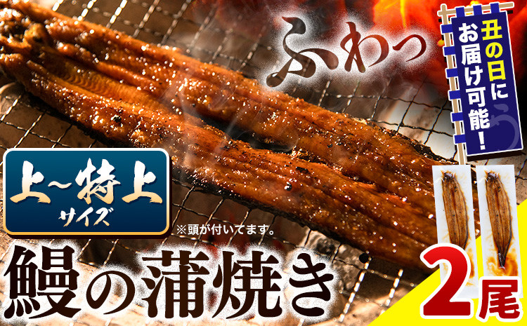 
            うなぎ 国産 鰻の蒲焼 2尾 上～特上サイズ《選べる出荷時期)》| うなぎ 蒲焼 国産 うなぎ 小分け うなぎ 国産 うなぎ 父の日 うなぎ 母の日ギフト うなぎ 簡易包装 送料無料 徳島県 上板町
          