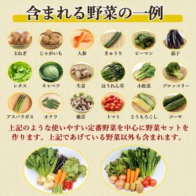 ふるさと納税 時津町 野菜のプロ40年が届けるこだわり野菜セット 7〜8品目 詰め合わせ |  | 02