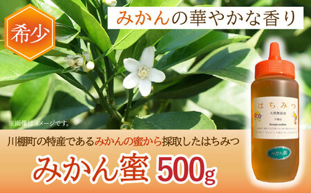 はちみつ みかん蜜 500g / お手頃 一万円 蜂蜜 国産ハチミツ とんがり容器はちみつ 長崎県産はちみつ 川棚町産はちみつ みかんはちみつ 国産蜂蜜 はちみつ 純粋はちみつ 天然成分100％はちみ