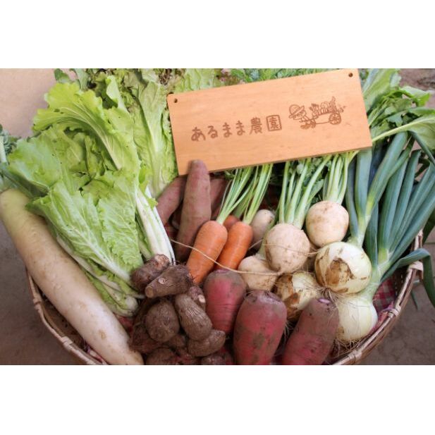 【ふるさと納税】農家直送 野菜セット 農薬不使用 季節の野菜 10品 セット 詰め合わせ 旬の野菜 千葉県産 野菜 お野菜 お野菜セット 野菜詰め合わせ 千葉 千葉県 成田市