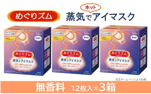 SA2196　めぐりズム 蒸気でホットアイマスク【無香料】　36枚(12枚入×3箱)