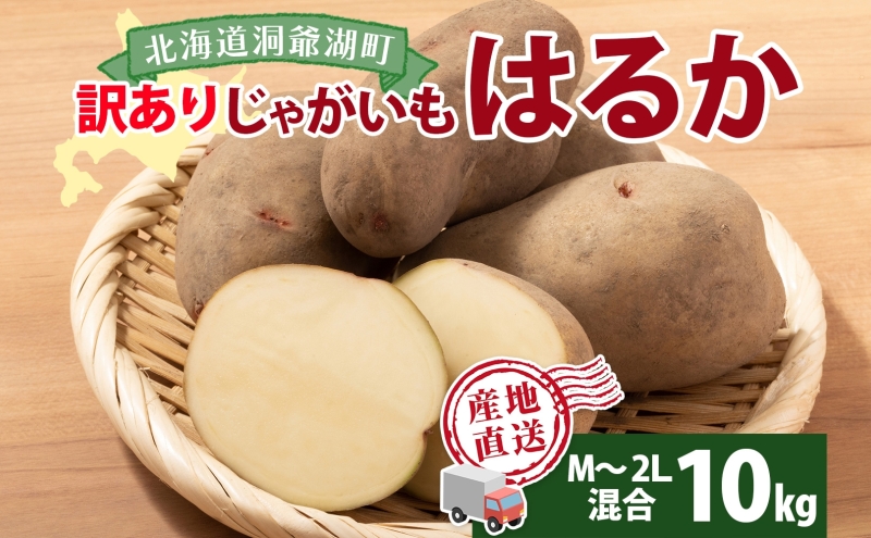 北海道産 じゃがいも はるか 10kg M～2L混合 訳あり 2024年12月中旬～2025年3月末お届け 野菜 ジャガイモ 馬鈴薯 芋 いも 旬 北海道 洞爺湖町 肉じゃが カレー コロッケ 野菜 農作物 お取り寄せ