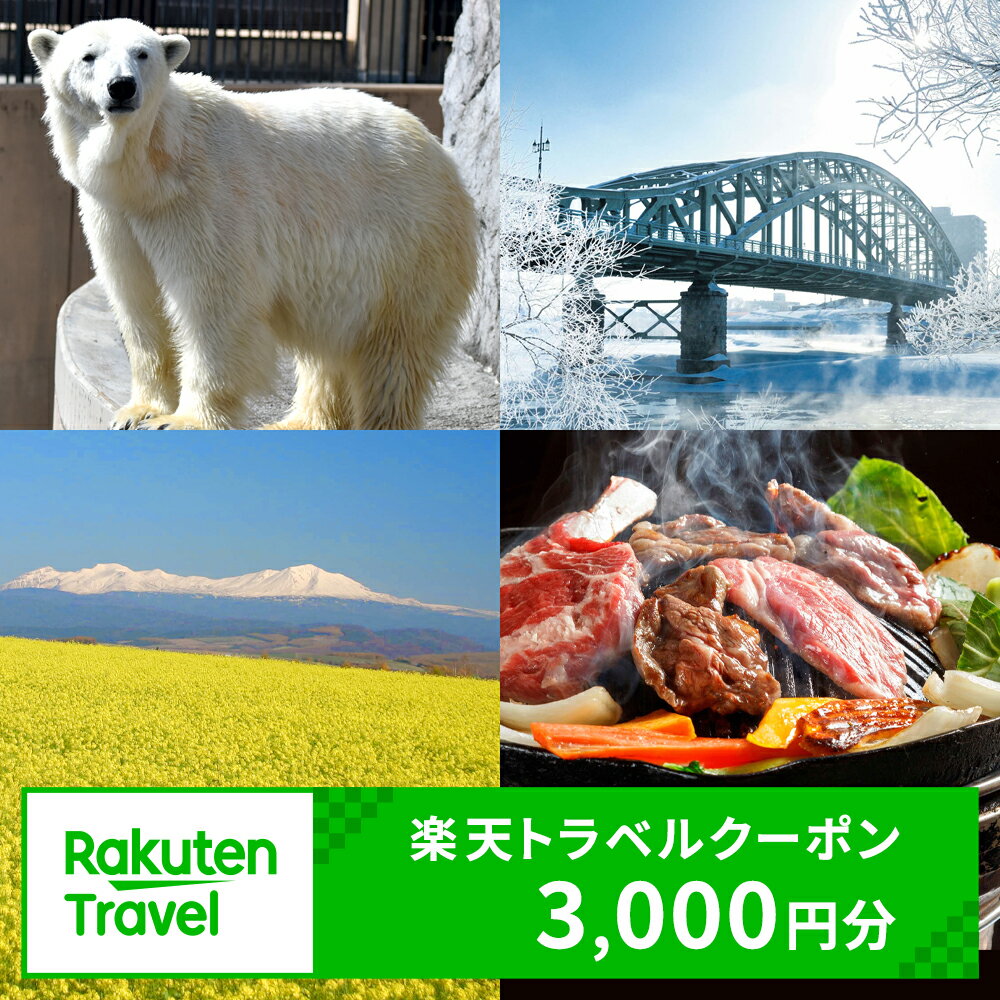 北海道旭川市の対象施設で使える楽天トラベルクーポン 寄附額10,000円旅行 旅行券 旅行クーポン