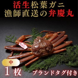 【1245】松葉ガニ活生「中1枚」ブランドタグ付き(弁慶丸)【到着日指定不可】