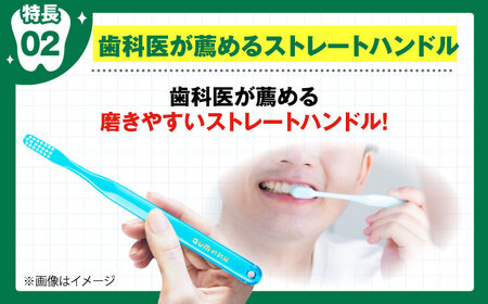 【年内発送】ガム・デンタルブラシ #191 【ふつう・先細】 48本（6本入×8箱） 日本歯科医師会推奨 歯磨き 歯みがき ハミガキ 歯周病 虫歯 口臭 大阪府高槻市/サンスター[AOAD025] 歯