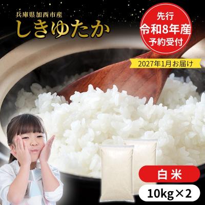 ふるさと納税 加西市 【令和8年産 先行受付】しきゆたか 白米 20kg《2027年1月発送》[No5698-2555]
