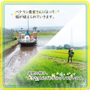 数量限定 岩手県産 あきたこまち 玄米 10kg 【ユニティファーム】 米 こめ コメ スーパーフード ヘルシー ごはん ご飯 ライス 国産 産地直送 農家直送 期間限定 おにぎり 弁当 おすすめ 人