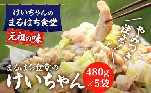 鶏ちゃん発祥の名店「まるはち食堂」こだわり抜かれた下呂の味！！けいちゃん 480g×5（約15人前）冷凍  ケイちゃん 郷土料理 まるはち 下呂市 鶏肉 味付け 味付き 焼くだけ 簡単調理 下呂温泉 けーちゃん おすすめ まるはち 下呂市 まるはち食堂