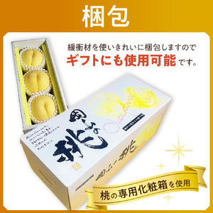 【令和８年発送分】岡山県産 白桃「ロイヤル」大玉3玉（令和8年7月から8月頃発送）【 岡山県産 白桃 大玉 ロイヤル 晴れの国おかやま 】