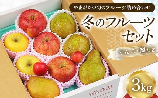 
            《先行予約 2025年度発送》冬のフルーツセット3kg  りんご リンゴ 林檎 デザート フルーツ 果物 くだもの 果実 食品 山形県 FSY-1897
          
