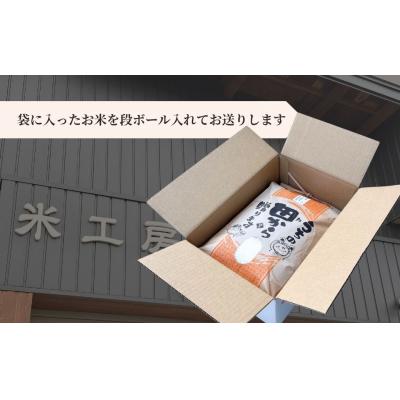 ふるさと納税 南相馬市 【令和6年産】福島県産コシヒカリ 白米 10kg×1袋  精米 南相馬産【153484-001-02】 |  | 03